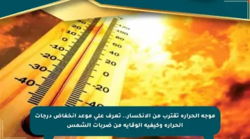 موجة الحرارة تقترب من الانكسار.. تعرف على موعد انخفاض درجات الحرارة وكيفية الوقاية من ضربات الشمس